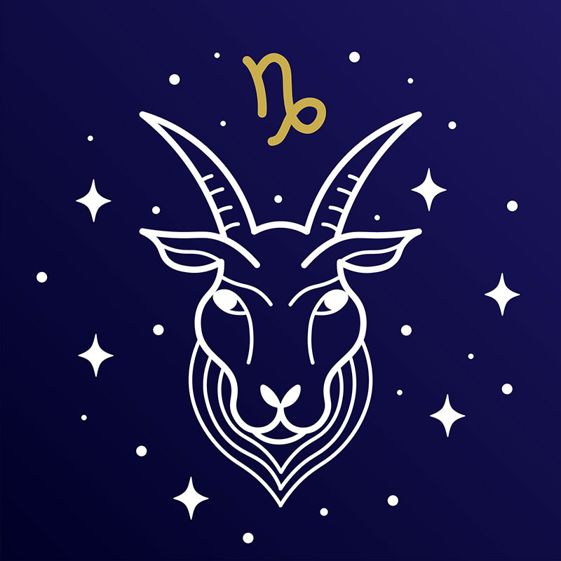 Capricórnio - XIX O Sol